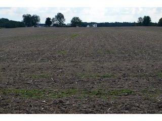Property photo 73 - EHLE FARMS AUCTION - 118+/- ACRES IN 9 TRACTS IN ALLEN COUNTY, INDIANA